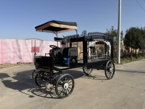 Carroza Fúnebre Blanca y Negra, Transporte Especial, Carroza Fúnebre Tirada por Caballos, Carroza Fúnebre Eléctrica al por Mayor - Product Image 5