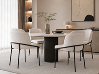 Chaises de salle à manger de style nordique minimaliste moderne, pieds en acier, mobilier de luxe pour la maison, utilisation en restaurant, structure métallique, fonction rafraîchissante