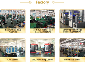 Tùy chỉnh Tự Khai thác an ninh chống trộm rắn mắt vít - Product Image 6