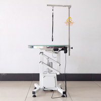 Table de toilettage professionnelle multifonctionnelle pour animaux de compagnie EUR VET, table de toilettage électrique avec lumière LED