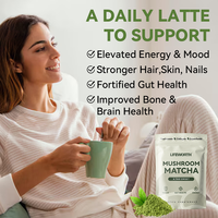 Poudre de thé Lifeworth végétalienne Keto de qualité cérémoniale, mélange de champignons et de matcha, superaliment sans sucre, emballé en sachet et en boîte