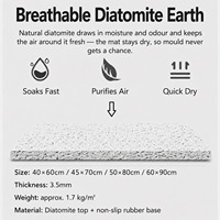 Tapis de sol de salle de bain en pierre de diatomite à séchage rapide, facile à nettoyer, lavable en machine, taille personnalisée, logo personnalisé, service OEM, commande en gros