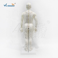 Modelo de Acupuntura Masculino de PVC Suave de 50 cm con 409 Puntos Etiquetados y Soporte para Laboratorio de Habilidades de Enfermería, con Certificaciones CE, ISO, ROHS, CNAS y SGS