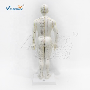 Modèle d'<span class=keywords><strong>acupuncture</strong></span> masculin en PVC souple 50 cm, 409 points étiquetés avec support pour laboratoire de compétences infirmières CE ISO ROHS CNAS SGS - Product Image 5