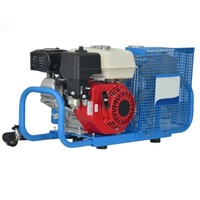 Compresseur d'air à essence Ayon 200-300 bars pour la plongée sous-marine et la lutte contre les incendies, produit de sécurité SCBA, connecteur de remplissage en option