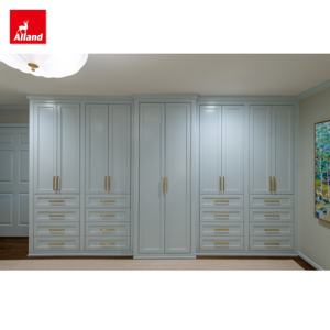 Fabricantes Chinos Suministran Armarios Modernos y Duraderos con Diseño Combinado en <span class=keywords><strong>Azul</strong></span> con Luz LED y Barra de Colgar Fija para Casa Personalizada - Product Image 3