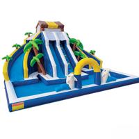 Toboggan aquatique gonflable commercial en PVC, thème dauphin tropical, double piste, capacité 500 kg, garantie 3 ans pour l'eau