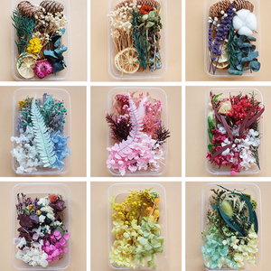 <span class=keywords><strong>Kit</strong></span> de Matériaux <span class=keywords><strong>DIY</strong></span> pour Fleurs Séchées Naturelles, Boîte Thème Multicolore, Fournitures pour Cadres Floraux et Fabrication de Bougies, Approvisionnement Transfrontalier - Product Image 1