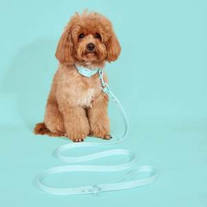 Produit pour animaux de compagnie populaire, ensemble laisse et collier pour chien en PVC, imperméable et facile à laver - Product Image 3