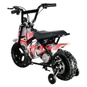 Precio Económico MAXSPEED 250DH 500W 36V Motor con Escobillas, Batería de Plomo-Ácido, Neumáticos, 40km/h, Motor de 500W / 800W / 1000W - Product Image 5