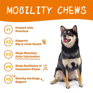 Đen thứ sáu bán OEM nhai Vitamin tổng hợp Dog hip Joint bổ sung thương hiệu riêng Pet Dog vitamin mèo chăm sóc sức khỏe bổ sung - Product Image 2