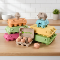 Échantillons Gratuits Vente en Gros Écologique Biodégradable Boîtes à Œufs de 2, 4, 6, 8, 10, 12, 15, 18, 20, 30 Œufs Emballage pour Œufs de Poule