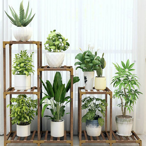 Vente en gros d'usine présentoir de pots de <span class=keywords><strong>plantes</strong></span> en bois présentoirs de fleurs multicouches en acier meubles <span class=keywords><strong>pour</strong></span> <span class=keywords><strong>plantes</strong></span> - Product Image 2