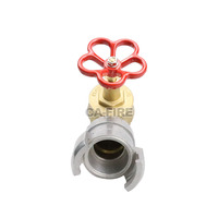 Hydrant d'incendie intérieur en laiton de haute qualité SNW65-III 250 PSI, vanne de raccordement, équipement de protection incendie, sortie d'eau industrielle