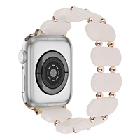 22 38 40 41 45 49mm Réglable Femmes Hommes De Luxe Grande Ellipse Utilisé Apple E Montre-Bracelet Résine Bracelet