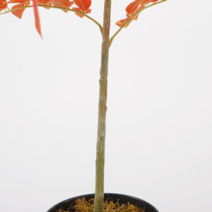 Árbol de planta en maceta Artificial de pera amarilla Artificial de plantas de imitación de 130cm para decoración de sala de estar interior - Product Image 3