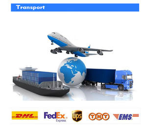 Directorio de Fabricantes de Papel de Transferencia de Calor, Película PET, Diseño de Logotipo Personalizado, Impresión Digital - Proveedores Exportadores - Product Image 6