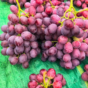 Raisins rouges Crimson <span class=keywords><strong>Globe</strong></span> de qualité supérieure, sucrés, de grande taille, frais, pour la consommation, jus de fruits, collation, vente en gros, carton de 5 kg, directement de l'usine - Product Image 4