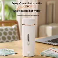 Bouilloire Électrique Portable Universelle en Acier Inoxydable 300W pour Voyage et Usage Domestique, Protection Anti-Ébullition à Sec, Garantie 1 An
