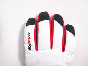 Gants à cinq doigts <span class=keywords><strong>de</strong></span> haute qualité, <span class=keywords><strong>sport</strong></span> personnalisé, extérieur, professionnel, hiver, chauffage électrique - Product Image 5