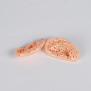 Modèle de structure de l'oreille grandeur nature, modèle d'acupuncture des points auriculaires, système <span class=keywords><strong>auditif</strong></span>, modèle pédagogique - Product Image 6