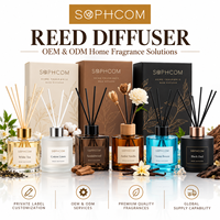100ml diffuseur de roseaux d'huile essentielle naturelle avec bâtons décor à la maison parfum parfum aromathérapie coffret cadeau pour salon bureau