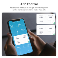 Zemismart Tuya WiFi 2 phases Smart Energy Mete 120A avec double pince Fonction d'alarme Surveillance en temps réel 110V-240V Assistant domestique