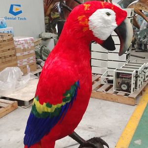 CCAA28 カスタムメイドアニマトロニクスオウムモデル、遊園地向けアニメーションバードオウムモデル - Product Image 4