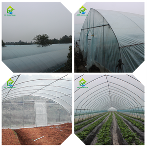 Film de polythène en <span class=keywords><strong>plastique</strong></span> à portée unique de haute qualité <span class=keywords><strong>Tunnel</strong></span> de squelette en acier galvanisé élèvent la serre de tente <span class=keywords><strong>pour</strong></span> les <span class=keywords><strong>semis</strong></span> - Product Image 5