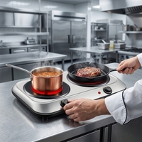Mini cuisinière électrique multifonction à double brûleur classique en promotion avec commande à bouton pour usage domestique Prise AU/US