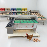 Automatische Eieren Sorteermachine 10000 Eieren/uur Kippeneieren Sorteermachine Graderings- en Verpakkingsmachine voor Pluimvee