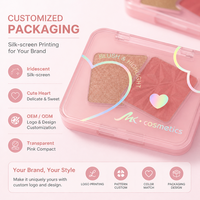 Kit de maquillage portable pour femmes, poudre lissante soyeuse, blush et illuminateur personnalisés avec logo, effet lumineux, vente en gros