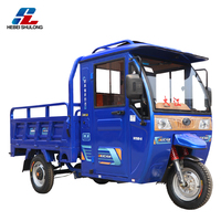 Nouveau tricycle cargo motorisé à 3 roues Type de carrosserie fermée à essence