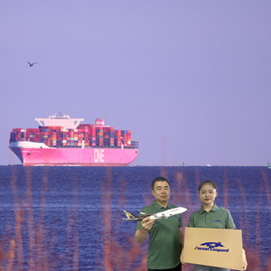 Agente de Envío Marítimo Más Económico, Envío Directo desde China a Alemania, Francia, Italia, México, Reino Unido, EE. UU., Transitario FBA DDP - Product Image 5