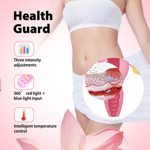 Baguette magique pour la santé des femmes Machine de rajeunissement vaginal Baguette de rajeunissement vaginal Machine de rajeunissement vaginal - Product Image 5