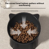 Bol pour animaux de compagnie à grande capacité, incliné, en plastique, anti-choc, antidérapant, pour protéger le cou, pour chats et chiens, best-seller
