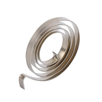 Ressort de défilement en acier inoxydable 301 personnalisé en usine Style spirale de 0.1 à 10mm d'épaisseur pour usage automobile et industriel galvanisé