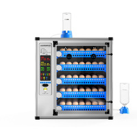Incubateur à œufs de poulet 350 places / Couveuse et éclosoir à poulets / Machine à couver les œufs