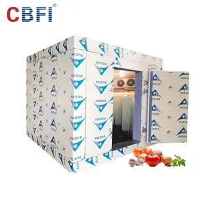 Vegetable/fruit Keeping Fresh Cold Room Equipment Air-conditioned Cold Storage