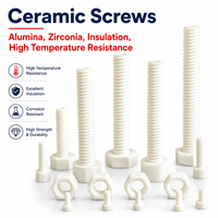Sekrup, baut, dan mur keramik zirkonia alumina berinsulasi suhu tinggi, kepala hex, kepala countersunk, kepala tombol, ukuran M2-M10