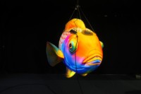 Publicité promotionnelle : Modèles gonflables de poissons tropicaux, avec une ambiance océanique et des accessoires décoratifs spécifiques au thème.