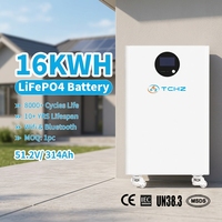 Batería de Energía Solar de Alta Capacidad de 15 kWh, 16 kWh, 20 kWh, 48 V, 51,2 V, LFP Lifepo4, 200 Ah, 300 Ah, para Almacenamiento en el Hogar, Más de 8000 Ciclos