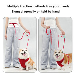 Tali anjing pelatihan dengan pegangan ganda tali anjing timbal Slip - Product Image 2