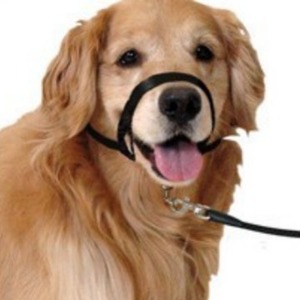 Bozal de nailon para perros con correa SMLXLXXL, control seguro de ladridos, entrenamiento para mascotas - Product Image 4