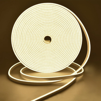 Échantillons Gratuits Bande Néon Flexible Mini Anti-Taches 24V 12V 196 LED CE, RoHS, Couleur et Longueur Personnalisables pour Enseigne de Magasin Lumière Néon LED