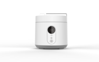 Autocuiseur électrique multi-usage avec affichage LED Capacité de 2,5 L pour usage domestique et hôtelier