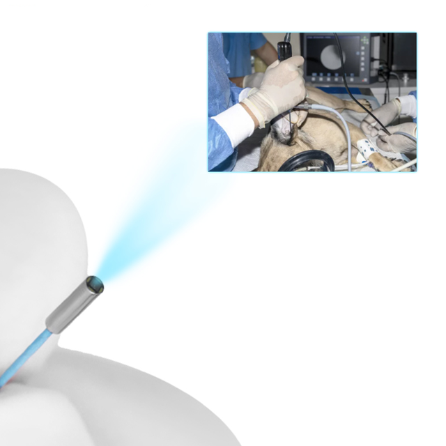 1.2mm Diameter 0.3MP USB UVC SF-C016USB-D1.2 V1.0 CMOS Sensor Borescope Endoscope Camera Module 15/30fps Frame Rate for Medical