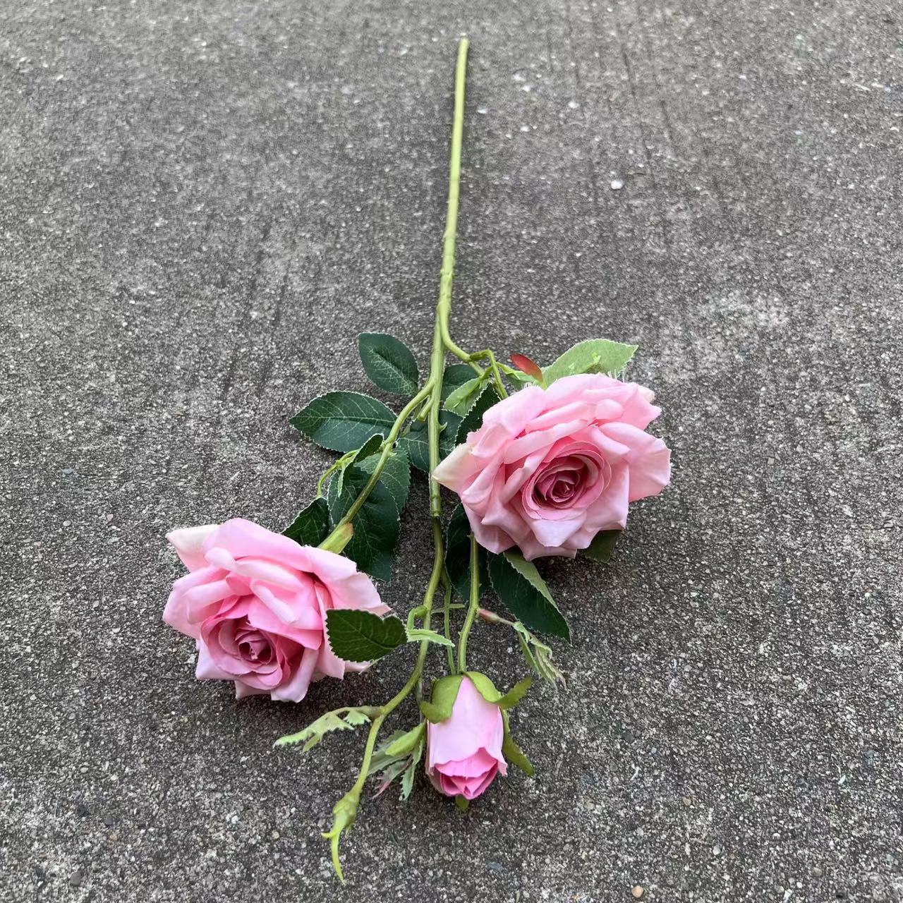 3 reine rose poudre foncée