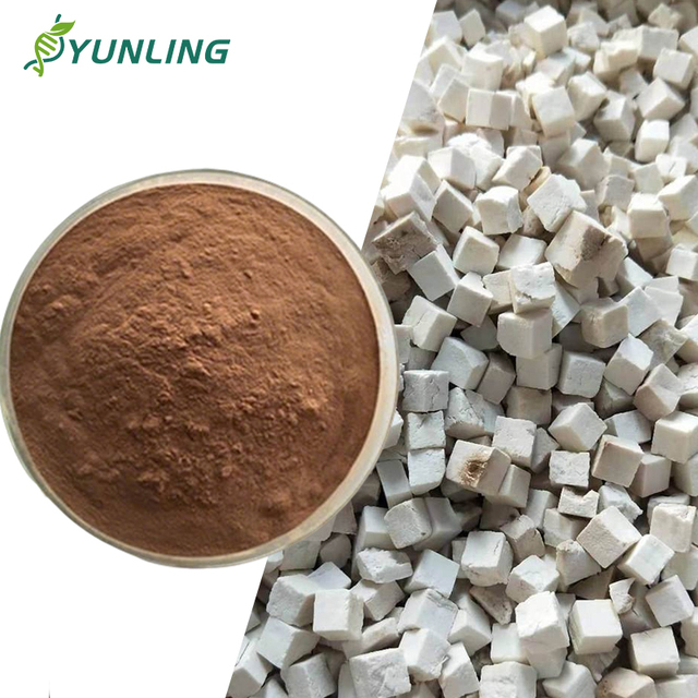 Best-selling Poria Extract 10%-50% Poria Polysaccharide Powder