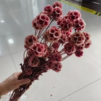 Bunga Planet Biru Kering Berwarna-warni untuk Grosir, Cocok untuk Hari Ibu, Hari Valentine, Wisuda, Tahun Baru, Natal, Paskah